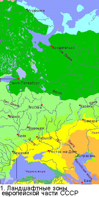 Ландшафтные зоны европейской части
СССР (26240 bytes)